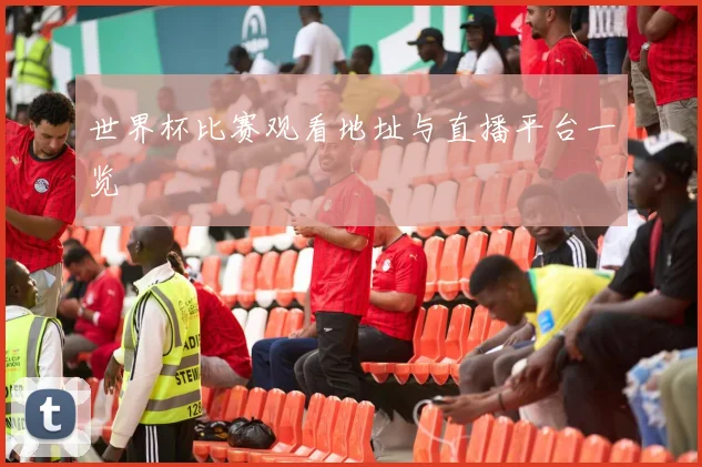 世界杯比赛观看地址与直播平台一览
